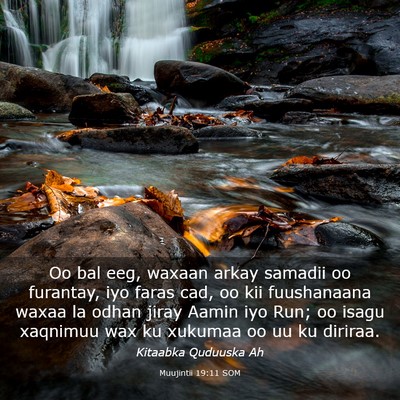 Picture 03 - Muujintii 19:11 SOM - Oo bal eeg, waxaan arkay samadii oo furantay, iyo - Bible Verse Picture