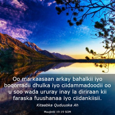 Picture 03 - Muujintii 19:19 SOM - Oo markaasaan arkay bahalkii iyo boqorradii - Bible Verse Picture