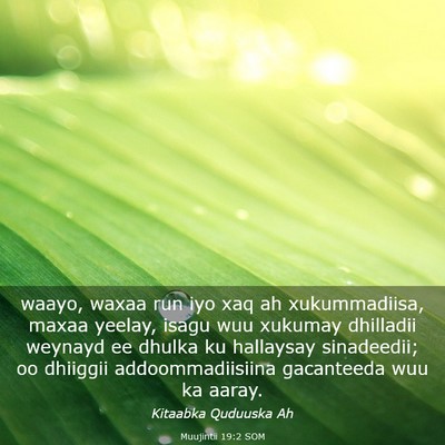 Picture 03 - Muujintii 19:2 SOM - waayo, waxaa run iyo xaq ah xukummadiisa, maxaa - Bible Verse Picture
