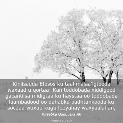 Picture 03 - Muujintii 2:1 SOM - Kiniisadda Efesos ku taal malaa'igteeda waxaad u - Bible Verse Picture