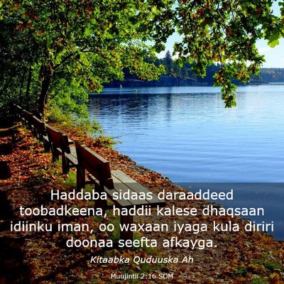 Picture 03 - Muujintii 2:16 SOM - Haddaba sidaas daraaddeed toobadkeena, haddii - Bible Verse Picture