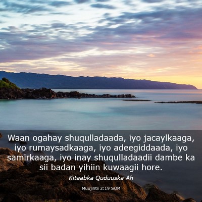 Picture 03 - Muujintii 2:19 SOM - Waan ogahay shuqulladaada, iyo jacaylkaaga, iyo - Bible Verse Picture