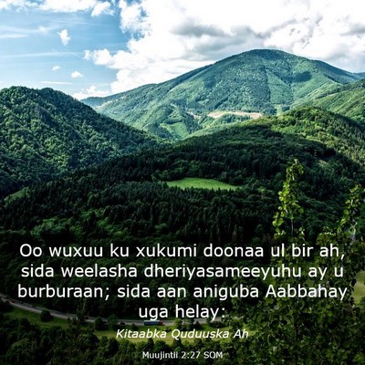 Picture 03 - Muujintii 2:27 SOM - Oo wuxuu ku xukumi doonaa ul bir ah, sida - Bible Verse Picture