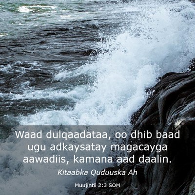 Picture 03 - Muujintii 2:3 SOM - Waad dulqaadataa, oo dhib baad ugu adkaysatay - Bible Verse Picture