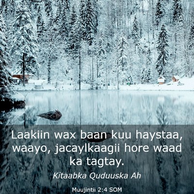 Picture 03 - Muujintii 2:4 SOM - Laakiin wax baan kuu haystaa, waayo, jacaylkaagii - Bible Verse Picture