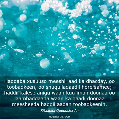 Picture 03 - Muujintii 2:5 SOM - Haddaba xusuuso meeshii aad ka dhacday, oo - Bible Verse Picture