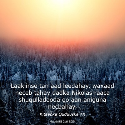 Picture 03 - Muujintii 2:6 SOM - Laakiinse tan aad leedahay, waxaad neceb tahay - Bible Verse Picture
