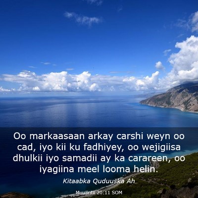 Picture 03 - Muujintii 20:11 SOM - Oo markaasaan arkay carshi weyn oo cad, iyo kii - Bible Verse Picture
