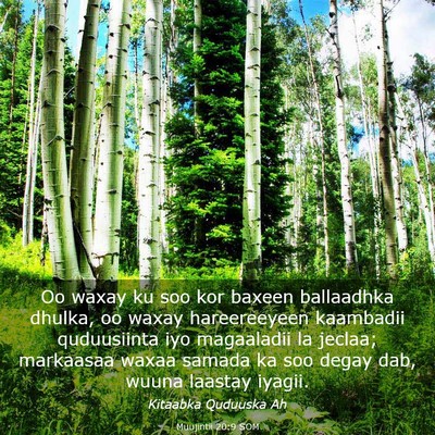 Picture 03 - Muujintii 20:9 SOM - Oo waxay ku soo kor baxeen ballaadhka dhulka, oo - Bible Verse Picture