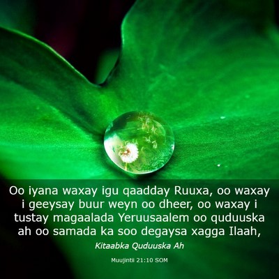 Picture 03 - Muujintii 21:10 SOM - Oo iyana waxay igu qaadday Ruuxa, oo waxay i - Bible Verse Picture