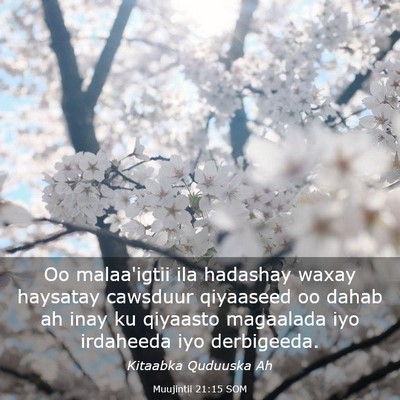 Picture 03 - Muujintii 21:15 SOM - Oo malaa'igtii ila hadashay waxay haysatay - Bible Verse Picture