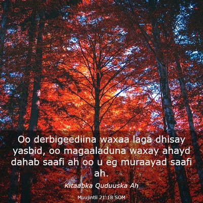 Picture 03 - Muujintii 21:18 SOM - Oo derbigeediina waxaa laga dhisay yasbid, oo - Bible Verse Picture