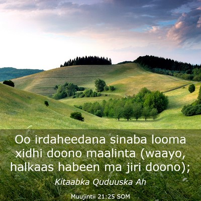 Picture 03 - Muujintii 21:25 SOM - Oo irdaheedana sinaba looma xidhi doono maalinta - Bible Verse Picture