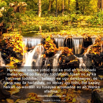 Picture 03 - Muujintii 21:9 SOM - Markaasaa waxaa yimid mid ka mid ah toddobadii - Bible Verse Picture
