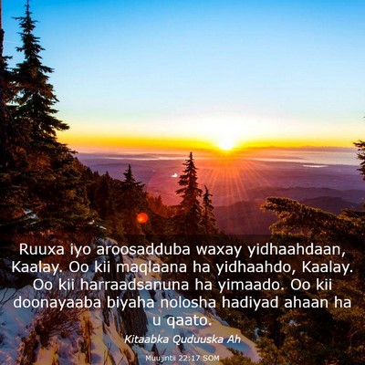 Picture 03 - Muujintii 22:17 SOM - Ruuxa iyo aroosadduba waxay yidhaahdaan, Kaalay. - Bible Verse Picture