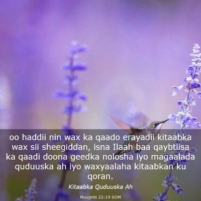 Picture 03 - Muujintii 22:19 SOM - oo haddii nin wax ka qaado erayadii kitaabka wax - Bible Verse Picture