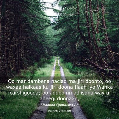 Picture 03 - Muujintii 22:3 SOM - Oo mar dambena naclad ma jiri doonto, oo waxaa - Bible Verse Picture