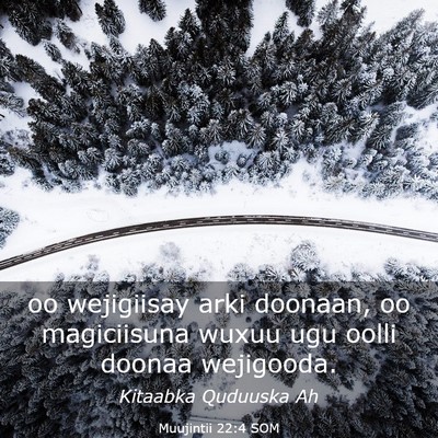 Picture 03 - Muujintii 22:4 SOM - oo wejigiisay arki doonaan, oo magiciisuna wuxuu - Bible Verse Picture