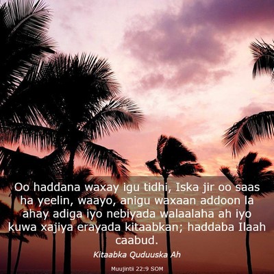 Picture 03 - Muujintii 22:9 SOM - Oo haddana waxay igu tidhi, Iska jir oo saas ha - Bible Verse Picture