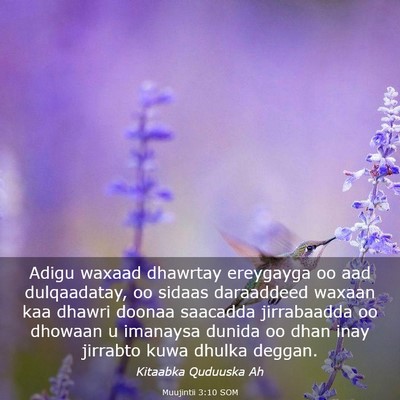 Picture 03 - Muujintii 3:10 SOM - Adigu waxaad dhawrtay ereygayga oo aad - Bible Verse Picture