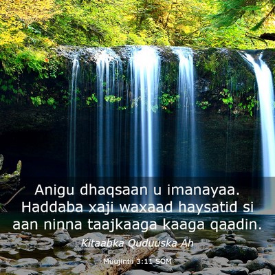Picture 03 - Muujintii 3:11 SOM - Anigu dhaqsaan u imanayaa. Haddaba xaji waxaad - Bible Verse Picture