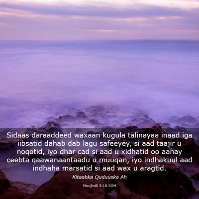 Picture 03 - Muujintii 3:18 SOM - Sidaas daraaddeed waxaan kugula talinayaa inaad - Bible Verse Picture