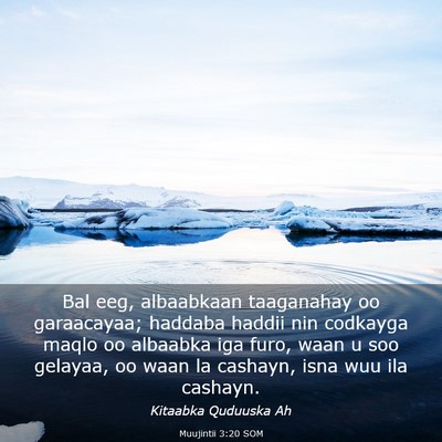 Picture 03 - Muujintii 3:20 SOM - Bal eeg, albaabkaan taaganahay oo garaacayaa; - Bible Verse Picture
