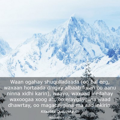 Picture 03 - Muujintii 3:8 SOM - Waan ogahay shuqulladaada (oo bal eeg, waxaan - Bible Verse Picture