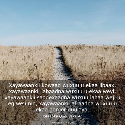 Picture 03 - Muujintii 4:7 SOM - Xayawaankii kowaad wuxuu u ekaa libaax, - Bible Verse Picture