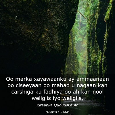 Picture 03 - Muujintii 4:9 SOM - Oo marka xayawaanku ay ammaanaan oo ciseeyaan oo - Bible Verse Picture