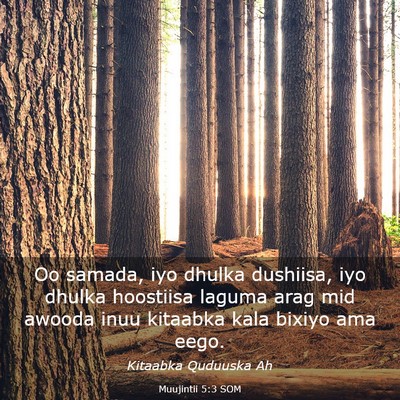 Picture 03 - Muujintii 5:3 SOM - Oo samada, iyo dhulka dushiisa, iyo dhulka - Bible Verse Picture