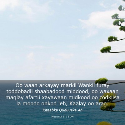 Picture 03 - Muujintii 6:1 SOM - Oo waan arkayay markii Wankii furay toddobadii - Bible Verse Picture