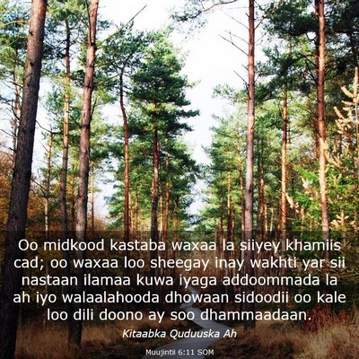Picture 03 - Muujintii 6:11 SOM - Oo midkood kastaba waxaa la siiyey khamiis cad; - Bible Verse Picture