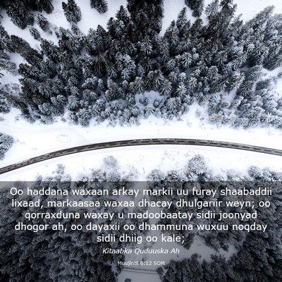 Picture 03 - Muujintii 6:12 SOM - Oo haddana waxaan arkay markii uu furay - Bible Verse Picture
