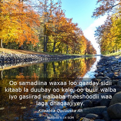 Picture 03 - Muujintii 6:14 SOM - Oo samadiina waxaa loo qaaday sidii kitaab la - Bible Verse Picture