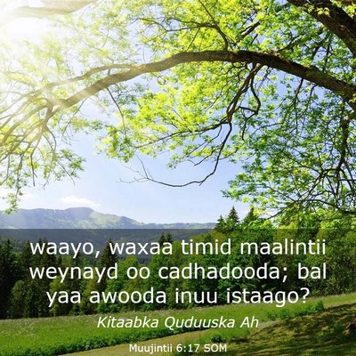 Picture 03 - Muujintii 6:17 SOM - waayo, waxaa timid maalintii weynayd oo - Bible Verse Picture