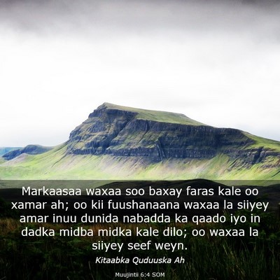 Picture 03 - Muujintii 6:4 SOM - Markaasaa waxaa soo baxay faras kale oo xamar ah; - Bible Verse Picture