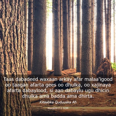 Picture 03 - Muujintii 7:1 SOM - Taas dabadeed waxaan arkay afar malaa'igood oo - Bible Verse Picture