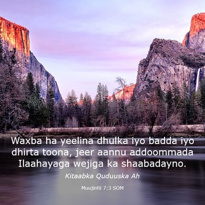 Picture 03 - Muujintii 7:3 SOM - Waxba ha yeelina dhulka iyo badda iyo dhirta - Bible Verse Picture