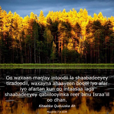 Picture 03 - Muujintii 7:4 SOM - Oo waxaan maqlay intoodii la shaabadeeyey - Bible Verse Picture
