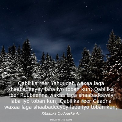 Picture 03 - Muujintii 7:5 SOM - Qabiilka reer Yahuudah waxaa laga shaabadeeyey - Bible Verse Picture