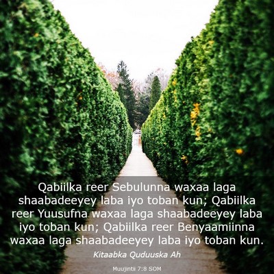 Picture 03 - Muujintii 7:8 SOM - Qabiilka reer Sebulunna waxaa laga shaabadeeyey - Bible Verse Picture