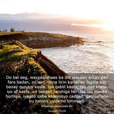 Picture 03 - Muujintii 7:9 SOM - Oo bal eeg, waxyaalahaas ka dib waxaan arkay dad - Bible Verse Picture
