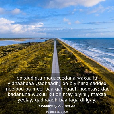 Picture 03 - Muujintii 8:11 SOM - oo xiddigta magaceedana waxaa la yidhaahdaa - Bible Verse Picture
