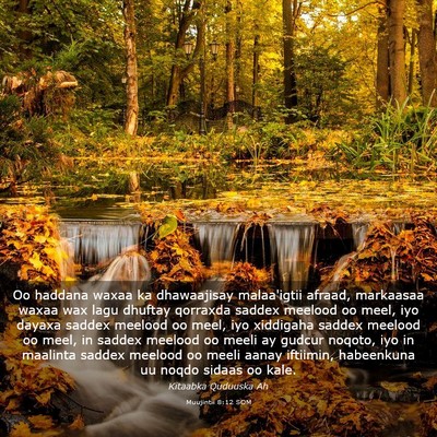 Picture 03 - Muujintii 8:12 SOM - Oo haddana waxaa ka dhawaajisay malaa'igtii - Bible Verse Picture