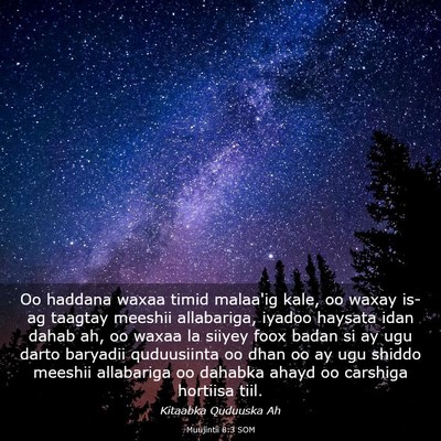 Picture 03 - Muujintii 8:3 SOM - Oo haddana waxaa timid malaa'ig kale, oo waxay - Bible Verse Picture