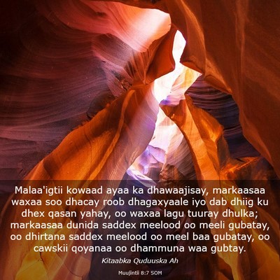 Picture 03 - Muujintii 8:7 SOM - Malaa'igtii kowaad ayaa ka dhawaajisay, markaasaa - Bible Verse Picture