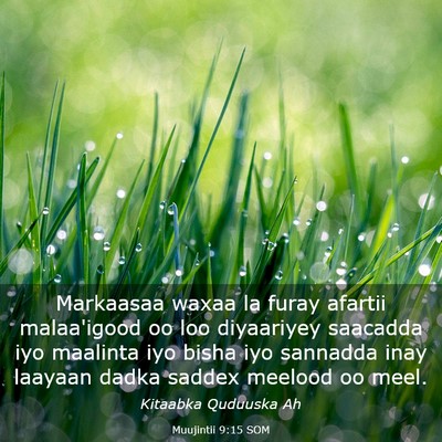 Picture 03 - Muujintii 9:15 SOM - Markaasaa waxaa la furay afartii malaa'igood oo - Bible Verse Picture