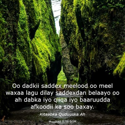 Picture 03 - Muujintii 9:18 SOM - Oo dadkii saddex meelood oo meel waxaa lagu dilay - Bible Verse Picture
