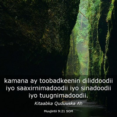 Picture 03 - Muujintii 9:21 SOM - kamana ay toobadkeenin diliddoodii iyo - Bible Verse Picture